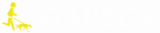 GAPSCV